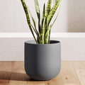 LE TAUCI 10 Inch Plant Pot, Ceramic Pots for Plants with Drainage Hole and Rubber Plug, Plant Pots Indoor for Home Garden Patio Office, Cylinder Planters for Indoor Plants, Charcoal Gray
