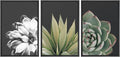 SIGNWIN Framed Wall Art Print Set Echeveria Succulent Variety Nature Plants Photography Modern Art Closeup Relax/Calm Dark Black and White for Living Room, Bedroom, Office - 16