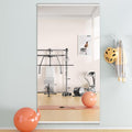 Hasipu Home Gym Mirror 71
