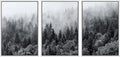 SIGNWIN Framed Canvas Print Wall Art Set Black & White Misty Mountain Forest Nature Wilderness Photography Modern Art Chic Landscape Relax/Calm for Living Room, Bedroom, Office - 24