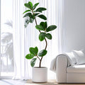 4.6ft Artificial Rubber Tree Faux Plants Indoor Faux Floor Artificial Trees Indoor,Fake Plant Fake Tropical Plants,Large Floor,Real Touch Rubber Tree for Home Decor