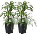 Artificial Dracaena Tree 4ft Artificial Plants Indoor UV Resistant, Dracaena Fake Plants with Multiple Plants in Black Tall Planter for Indoor Outdoor Decoration (2 Pack)