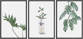 SIGNWIN Framed Wall Art Print Set Trio of Jungle Palms & Snake Succulents Floral Plants Photography Modern Art Minimalist Black and White for Living Room, Bedroom, Office - 24