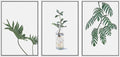 SIGNWIN Framed Wall Art Print Set Trio of Jungle Palms & Snake Succulents Floral Plants Photography Modern Art Minimalist Black and White for Living Room, Bedroom, Office - 16
