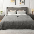 WOOMER Heated Throw Blanket Twin Size, Soft Flannel Fast Heating Blanket with Multi-Color Option, 62