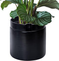 Phoenix Vine 10 Inch Cylinder Self Watering Planter, Black Glazed Outer Plant Pot with Dolomite Clay Inner Planter for Indoor Plants, Black, 31-A-I-B