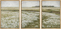 SIGNWIN Framed Canvas Print Wall Art Set White Daisy Flower Country Farm Field Nature Abstract Illustrations Fine Art Decorative Nordic for Living Room, Bedroom, Office - 16