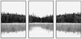 SIGNWIN 3 Piece Framed Canvas Wall Art Woodland Nursery Decor Black and White Forest with Lake Nature Abstract Traditional Home Artwork Decoration for Living Room,Bedroom - 24