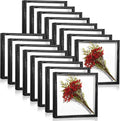 Ripeng 16 Pack Shadow Box Frame Display Case Picture Frame for Wedding Bouquet, Back to School Crafts, Memorial Photos, Ticket, Teacher, Medal, DIY Wall or Tabletop Gift Decor(8 x 8 Inch,Black)