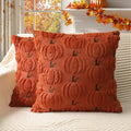 4TH Emotion Fall Pumpkin Decorative Pillow Covers 16x16 Set of 2, Dark Rust Red Soft Plush Faux Fur Wool Farmhouse Throw Cushion Cases for Autumn Thanksgiving Holiday Home Decorations