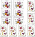 Barydat 12 Pack Pressed Flowers Glass Frames, 5 x 7 Inch Brass Hanging Floating Frame with Chain, Double Glass Photo Display for Dried Flowers, Plant Specimen, Artwork Display (Silver)