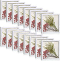 Ripeng 16 Pack Shadow Box Frame Display Case Picture Frame for Wedding Bouquet, Back to School Crafts, Memorial Photos, Ticket, Teacher, Medal, DIY Wall or Tabletop Gift Decor(8 x 8 Inch,White)
