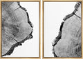SIGNWIN Framed Wall Art Print Set Black & White Close Up Tree Ring Details Nature Wilderness Photography Modern Art Rustic Relax/Calm Multicolor for Living Room, Bedroom, Office - 24