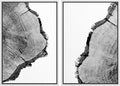 SIGNWIN Framed Wall Art Print Set Black & White Close Up Tree Ring Details Nature Wilderness Photography Modern Art Rustic Relax/Calm Multicolor for Living Room, Bedroom, Office - 16