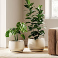 LE TAUCI 세라믹 화분, 2개 세트, 25.4cm(10인치) + 30.5cm(12인치) 화분, 실내 식물을 위한 우아한 화분, 배수 구멍과 받침이 있는 튼튼한 화분, 홈 데코에 적합, 반응성 글레이즈 베이지