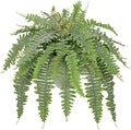Hollyone Artificial Fern Plants in White Pot 25.5