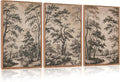CHDITB Vintage Forest Framed Canvas Wall Art Set, Nature Tree Botanical Wall Decor,Scenic Art Spiritual Wall Painting, Neutral Artwork Wilderness Art Prints for Living Room Bedroom Office 16