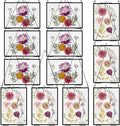 Barydat 12 Pack Pressed Flowers Glass Frames, 5 x 7 Inch Brass Hanging Floating Frame with Chain, Double Glass Photo Display for Dried Flowers, Plant Specimen, Artwork Display (Black)