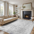 vivorug 9x12 Neutral Area Rugs, Stain Resistant Washable Rug for Living Room, Vintage-Inspired (Ivory/Silver, 9'x12')