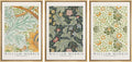 wall26 Framed Canvas Print Wall Art Set William Morris Flower Tapestry Posters Nature Wilderness Illustrations Modern Art Decorative Floral Botanical Minimal Calm for Bedroom - 24