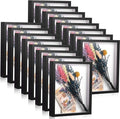 Ripeng 16 Pack Shadow Box Frame Display Case Picture Frame for Wedding Bouquet, Back to School Crafts, Memorial Photos, Ticket, Teacher, Medal, DIY Wall or Tabletop Gift Decor(8 x 10 Inch,Black)