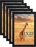 11x22 Picture Frame 5 Pack- Newspaper Frame for Assorted Media and News Articles-11x22 Wooden Frame with Plexiglass,Decorate Home and Office with Large Paintings -Fits Most Standard Newspapers