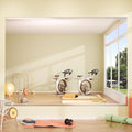 Hasipu Home Gym Mirror 48