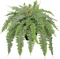 Hollyone Artificial Fern Plants in Pot 25.5