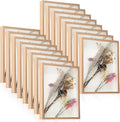 Ripeng 16 Pack Shadow Box Frame Display Case Picture Frame for Wedding Bouquet, Back to School Crafts, Memorial Photos, Ticket, Teacher, Medal, DIY Wall or Tabletop Gift Decor(11 x 14 Inch,Wood Color)