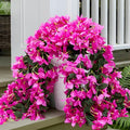 4 Pcs Artificial Faux Bougainvillea Flowers Plants Hanging Flowers Plants for Outdoor Decoration Fake Silk UV Resistant Long Trailing Vines for Front Door Porch Planter Balcony(Purple)