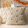 4TH Emotion Fall Pumpkin Decorative Pillow Covers 20x20 Set of 2, Beige Soft Plush Faux Fur Wool Farmhouse Throw Cushion Cases for Autumn Thanksgiving Holiday Home Decorations