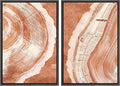 SIGNWIN Framed Canvas Print Wall Art Set Orange Closeup Wood Tree Ring Details Nature Wilderness Illustrations Modern Art Rustic Colorful Ultra for Living Room, Bedroom, Office - 24