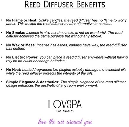 LOVSPA Reed Diffuser Set, Unwind Eucalyptus & Mint Scented Oil Diffuser with Sticks, Home Fragrance Accessories for Bathroom Shelf Decor, Aroma Diffusers for Home or Office Desk, USA Made