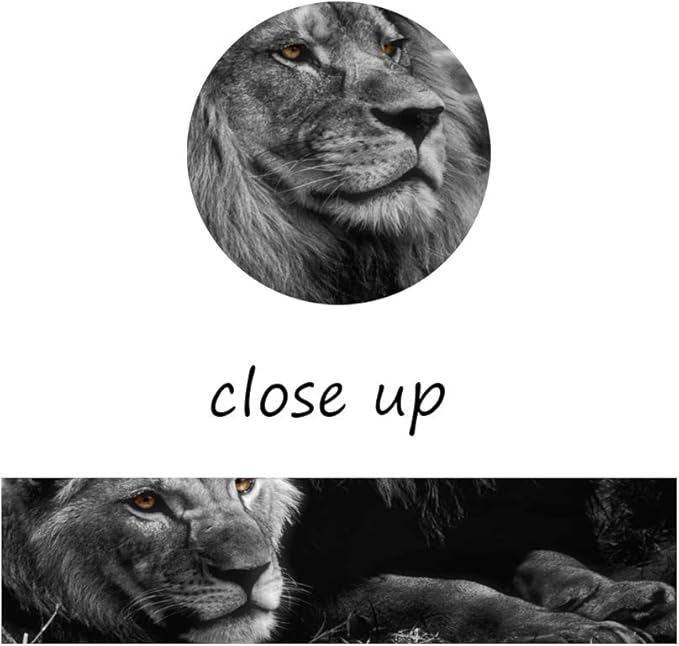 Yatsen Bridge 5 Piece Lion Picture Wall Decor Black and White Lion and Lioness Picture Printed on Canvas Modern Gallery-Wrapped Lion Painting Ready to Hang for Home and Office Decor - 50''W x 24''H