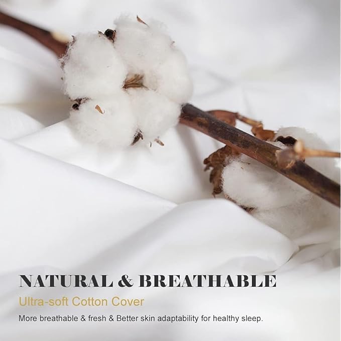 Organic Feather Down Comforter Oversized King Size, All Season Duvet Insert 100% Organic Cotton, Medium Warm Quilted Bed Comforter with Corner Tabs(120x98, White)