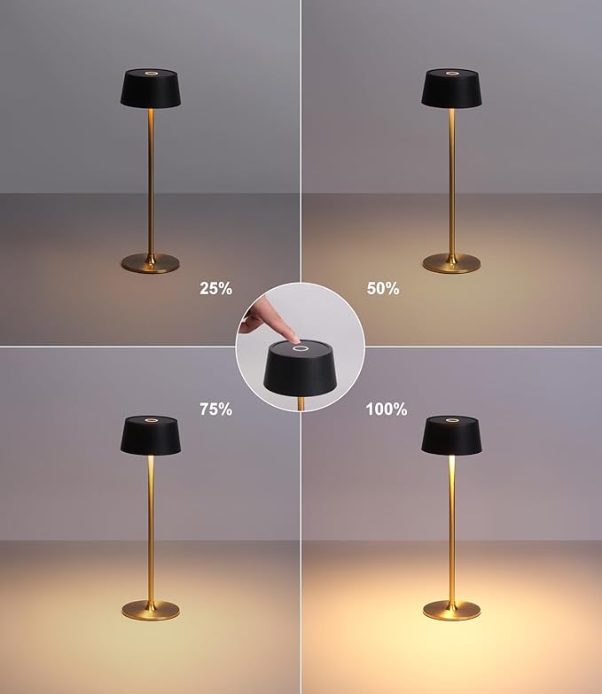 DAWALIGHT Cordless Lamp 4000mAh Rechargeable tbale lamp LED Desk Lamp Tempered Glass Stepless Dimming Black and Gold Battery Operated Portable Cordless 2700K Gold Base