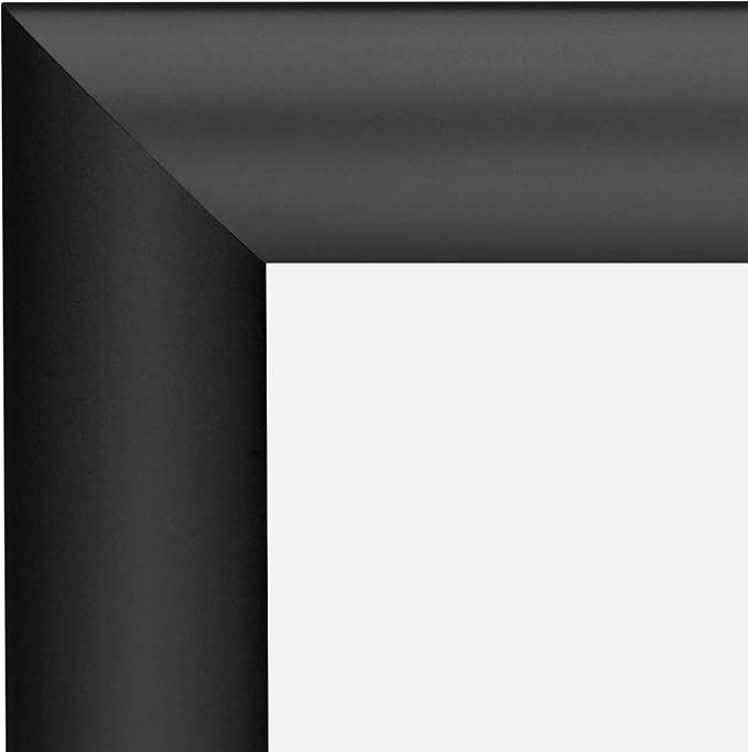 SnapeZo 2-Pack 24x36 Inches Black Poster Frames, Front-Loading Snap Frame, 1" Aluminum Profile, Wall Mounted