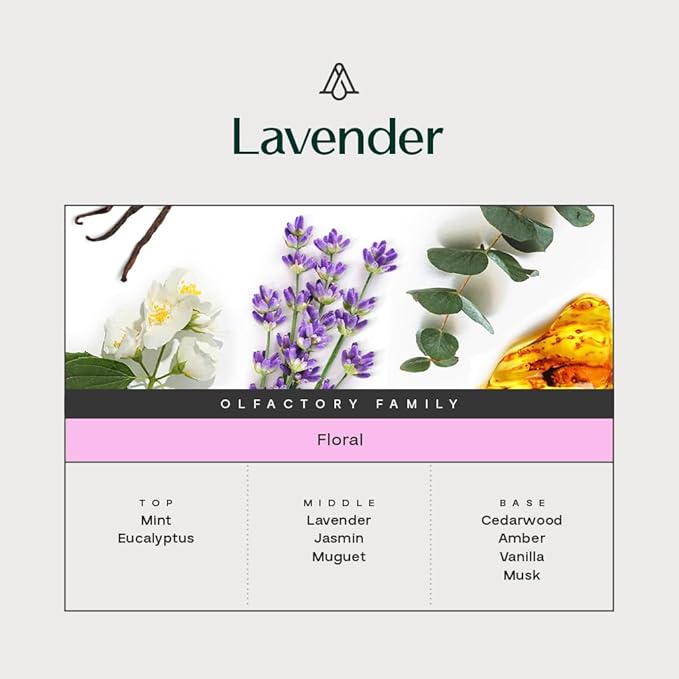 Aromaplan Hotel Scents Lavender, 1.7 Fl Oz (50 ml)- Home Luxury Aroma & Hotel Fragrance Essential Oil- Hotel Essential Oil for Aromatherapy- USA Made, Bolder Aroma & Longer Lasting