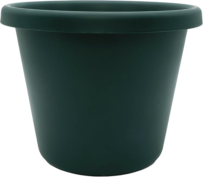 The HC Companies Classic Round Plastic Plant Pot w/Rolled Rim - Lightweight & UV Resistant Flower Pot for Herbs & More - Outdoor & Indoor Plant Pots w/Drainage (7 inch Evergreen, Pack of 1)