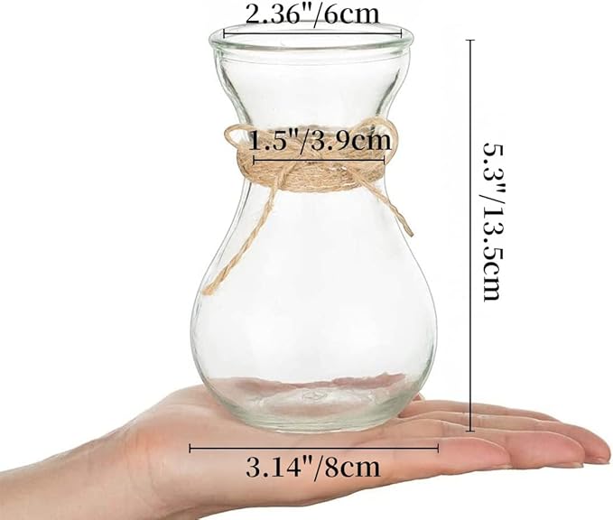Small Glass Vases for Centerpieces - Hewory 12pcs Clear Mini Hyacinth Avocado Growing Bud Vase Bulk, Cute Tiny Flower Bulb Forcing Plant Containers Set for Wedding Home Living Room Table Decorations