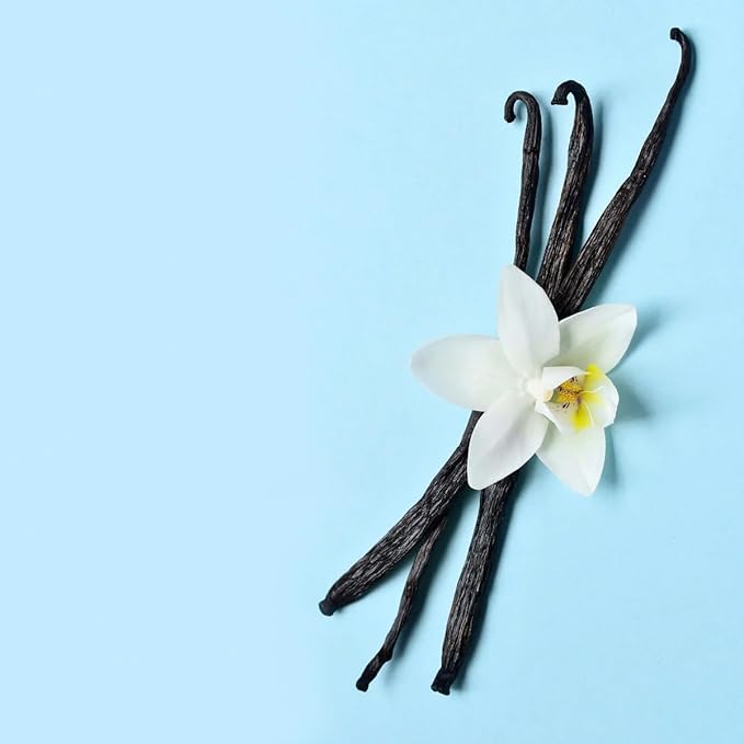 VINEVIDA [32 Fl Oz] Scent NO. 1113 Fragrance Oil for Cold Air Diffusers, Aromatic Notes of Vanilla, Lavender, Smokey & Woodsy Notes Essential Oils for Diffuser Oil Refill & Air Freshener Spray