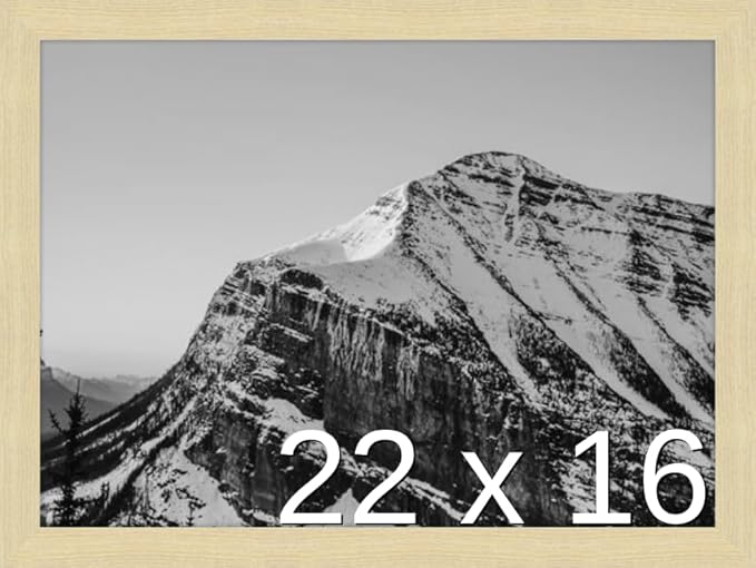 Frame It Easy 22 x 16 Wheat Wood Frame (Derby)