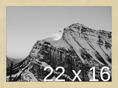 Frame It Easy 22 x 16 Wheat Wood Frame (Derby)