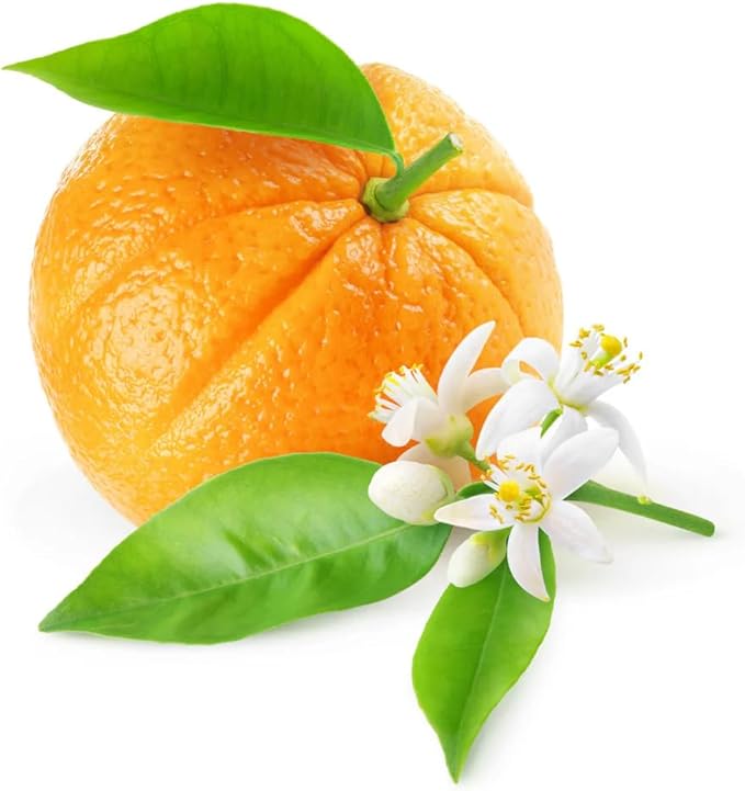 VINEVIDA [Gallon (128 Fl Oz)] Scent NO. 1202 Fragrance Oil for Cold Air Diffusers, Aromatic Notes of Mint, Nutmeg & Patchouli Essential Oils for Diffuser Oil Refill & Air Freshener Room