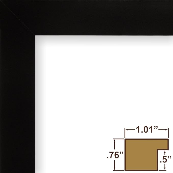 Craig Frames Essentials, Modern 1 Inch Wide 12 x 12 Inch Black Picture Frame Matted to Display a 9 x 9 Inch Photo