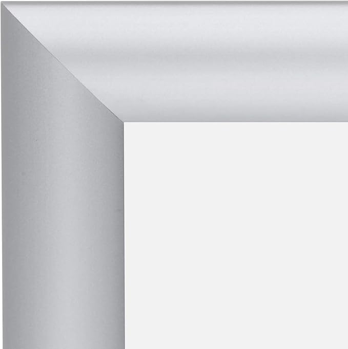 SnapeZo 2-Pack 18x24 Inches Silver Poster Frames, Front-Loading Snap Frame, 1" Aluminum Profile, Wall Mounted