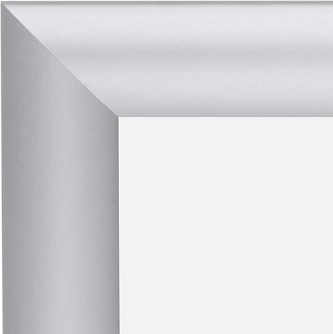 SnapeZo 2-Pack 24x36 Inches Silver Poster Frames, Front-Loading Snap Frame, 1" Aluminum Profile, Wall Mounted