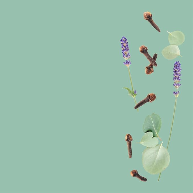 VINEVIDA [Gallon (128 Fl Oz)] Scent NO. 1100 Fragrance Oil for Cold Air Diffusers, Aromatic Notes of Eucalyptus & Lavender Essential Oils for Diffuser Oil Refill & Air Freshener Room Spray