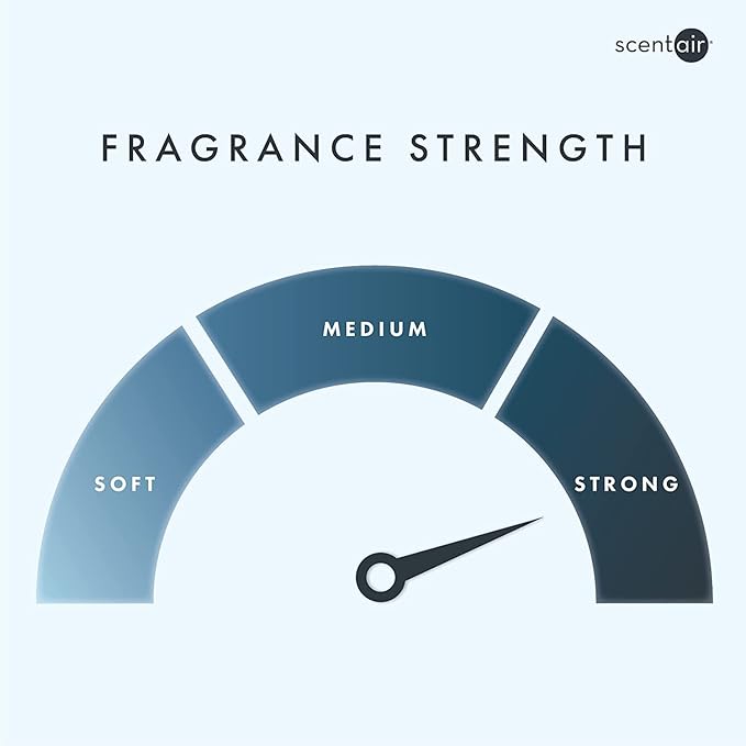 Monthly Fragrance Cartridge for Whisper Home - Amalfi Coast