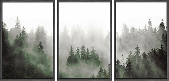 SIGNWIN Framed Canvas Print Wall Art Woodland Nursery Decor Set Fog & Mist Over Green Pine Tree Forest Nature Wilderness Modern Art Chic Landscape for Living Room, Bedroom, Office - 16"x24"x3 Black